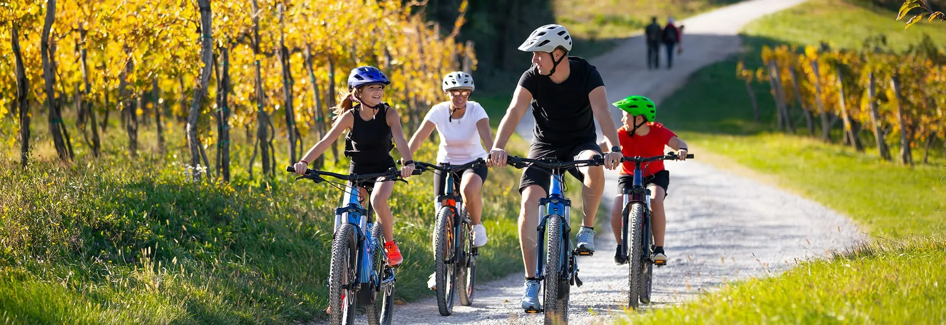 Eine Familie mit Mutter, Vater und zwei Kindern fährt in kurzen Outfits Fahrrad bzw. E-Bike auf einem gewundenen Kiesweg an Weinhügeln vorbei