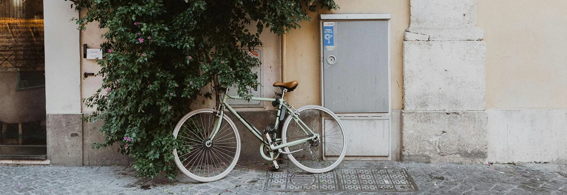 Ein Fahrrad lehnt an einer Hauswand neben einem blühenden Strauch, der an der Wand emporwächst.