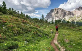 Eine Person auf einem Wanderweg im Gebirge, um sie herum eine Blumenwiese