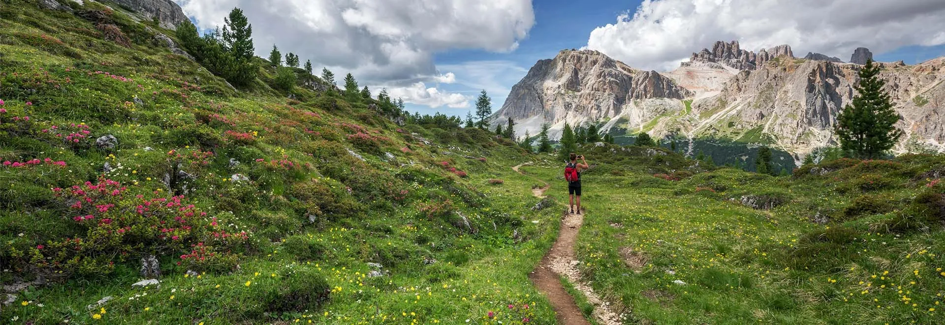 Eine Person auf einem Wanderweg im Gebirge, um sie herum eine Blumenwiese