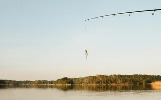Phishing-Mails sind in gewisser Weise wie echtes Fischen, vorher diese Betrugsmasche ihren Namen hat: Eine Angel mit einem Köder wird ausgeworfen.